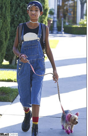 Willow Smith passeia com cachorrinho tingido de rosa