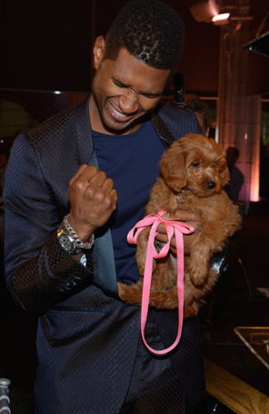 Usher paga 24 mil reais por cãozinho em leilão beneficente