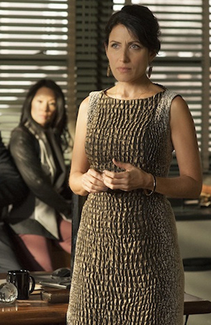 Veja Cuddy de <i>House</i> em <i>Elementary</i>