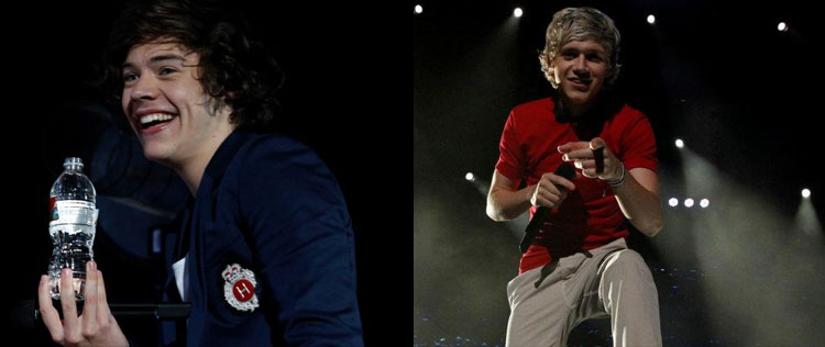 Harry Styles e Niall Horan da <i>One Direction</i> espiam as fãs. Entenda!