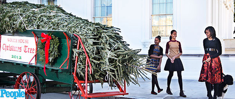 Michelle Obama recebe árvore de Natal na Casa Branca