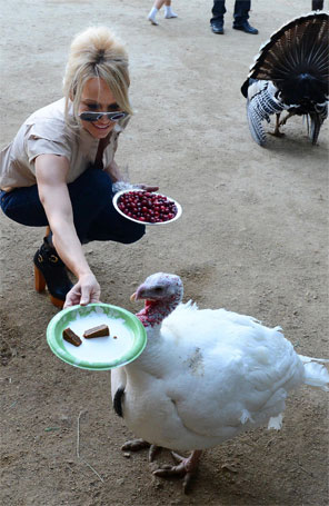 Vegetariana, Pamela Anderson comemora o dia de Ação de Graças alimentando peru