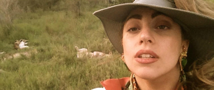 Lady Gaga mostra o seu lado corajoso e posta foto ao lado de leões