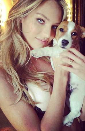 Candice Swanepoel leva o seu cachorro, Milo, para os bastidores