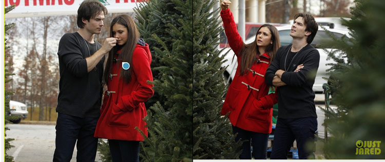 Nina Dobrev e Ian Somerhalder escolhem árvore de Natal