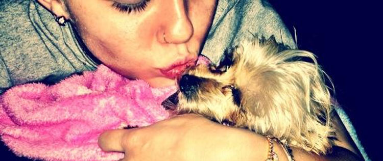 Miley Cyrus lamenta a morte de sua cachorrinha
