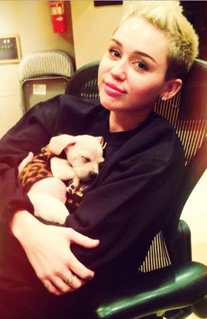 Miley Cyrus divulga foto com o novo <i>pet</i> dormindo em seus braços