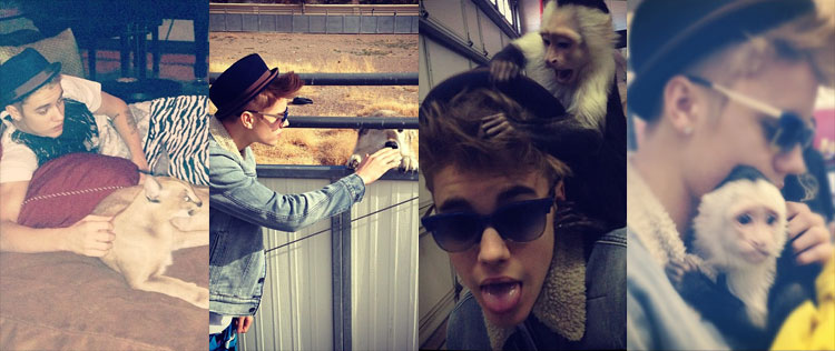 Justin Bieber divulga fotos ao lado de animais selvagens