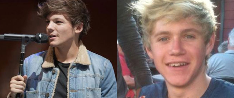 Louis Tomlinson parabeniza Niall Horan por passar em teste de direção