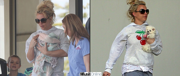 Britney Spears leva seu cachorrinho ao veterinário