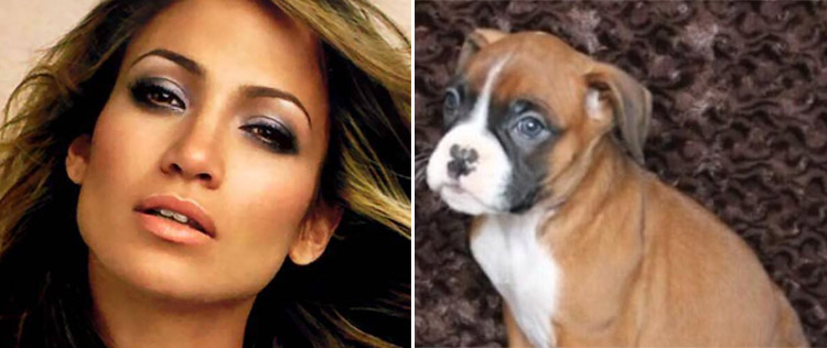 Jennifer Lopez e Casper Smart aumentam a família. Entenda!