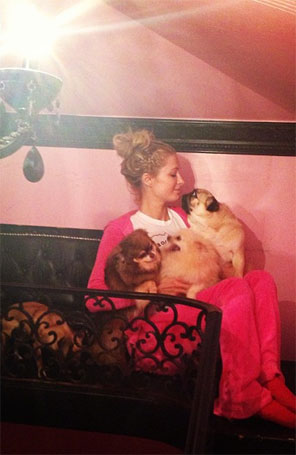 Paris Hilton relaxa com os seus cachorros de estimação em foto