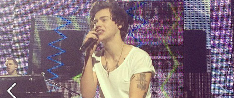 Harry Styles está maníaco por limpeza