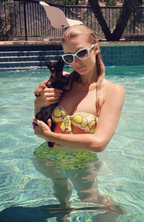 Paris Hilton ensina <i>pet</i> a nadar