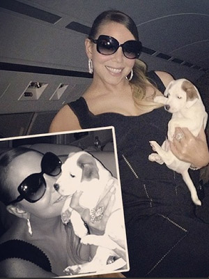Quer conhecer o novo membro da família de Mariah Carey?