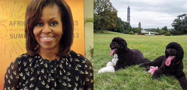 Michelle Obama divulga foto do novo cachorro da família