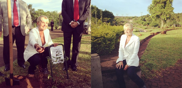 Xuxa planta árvore em área reservada, veja!
