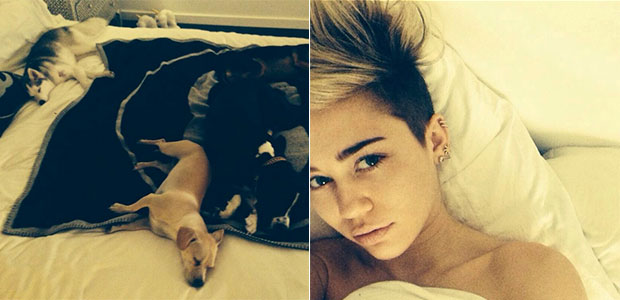 Casa de Miley Cyrus é roubada antes de seu aniversário e passa a data com cachorros