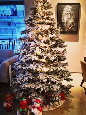Ticiane Pinheiro mostra árvore de Natal, veja!