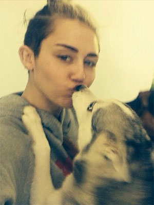 Miley Cyrus beija cachorro e disputa prêmio com Obama e o Papa, entenda