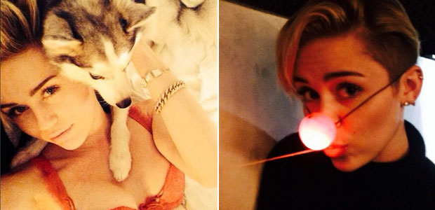 Miley Cyrus entra no clima do Natal e divulga foto só de <i>lingerie</i>: -<i> Feliz Natal, Hohoho</i>