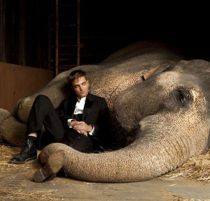 Água para Elefantes foi um dos trabalhos de Robert Pattinson entre as filmagens da saga Crepúsculo. Ao lado de Reese Whiterspoon, ele mostrava a rotina de um circo que era administrado por um homem problemático. Tudo baseado no livro de mesmo nome de Sara Gruen. Água para Elefantes foi um dos trabalhos de Robert Pattinson entre as filmagens da saga Crepúsculo. Ao lado de Reese Whiterspoon, ele mostrava a rotina de um circo que era administrado por um homem problemático. Tudo baseado no livro de mesmo nome de Sara Gruen.