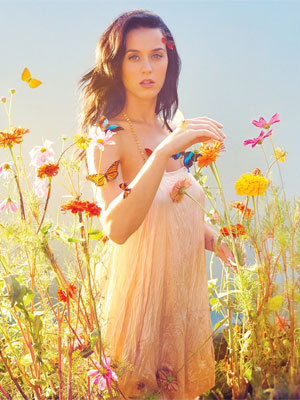 Katy Perry bate novo recorde de seguidores no <i>Twitter</i>