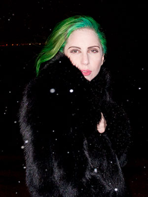 Lady Gaga é mordida por animal exótico