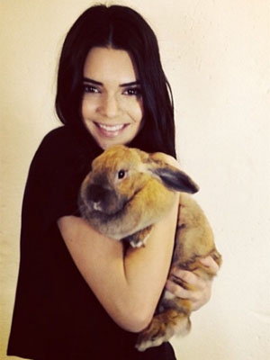Kendall Jenner pode deixar <i>Keeping Up With The Kardashians</i>