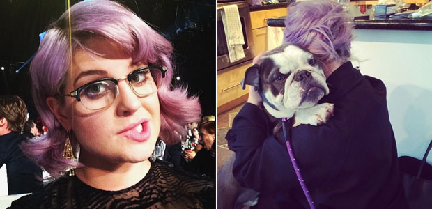 Cachorro salva a vida de Kelly Osbourne, entenda!