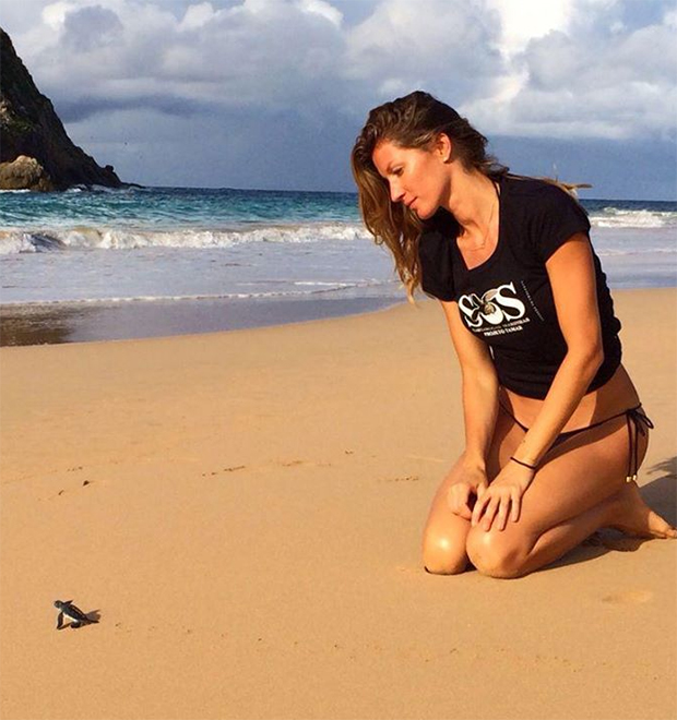 Gisele Bündchen presencia nascimento de tartarugas em Noronha