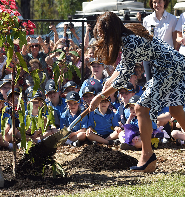 De salto, Kate Middleton planta árvore na Austrália