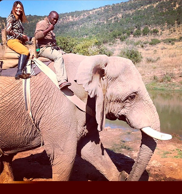 Carol Castro passeia em elefante, veja a foto!