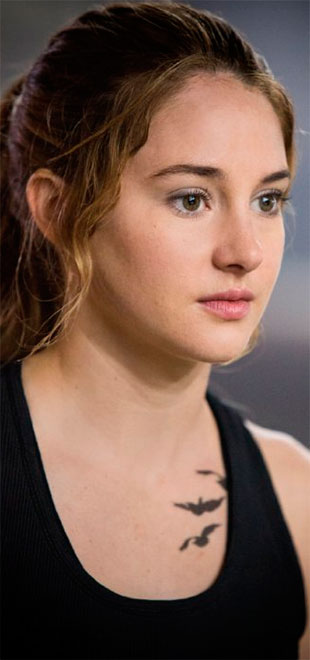 Shailene Woodley diz que está cheia das comparações com Jennifer Lawrence