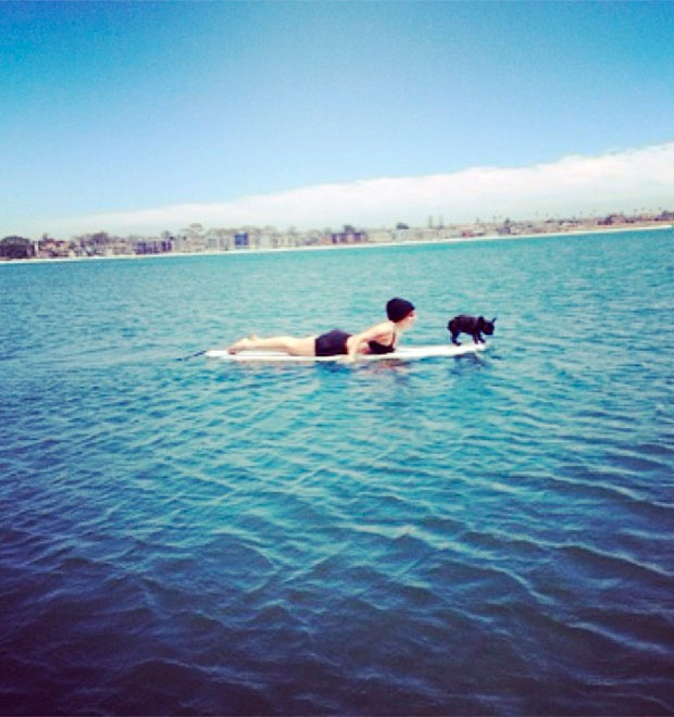 Lady Gaga surfa com sua cachorrinha