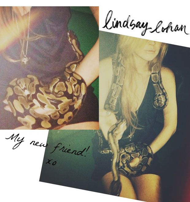 - <i>Nova amiga</i>, diz Lindsay Lohan em foto com cobra