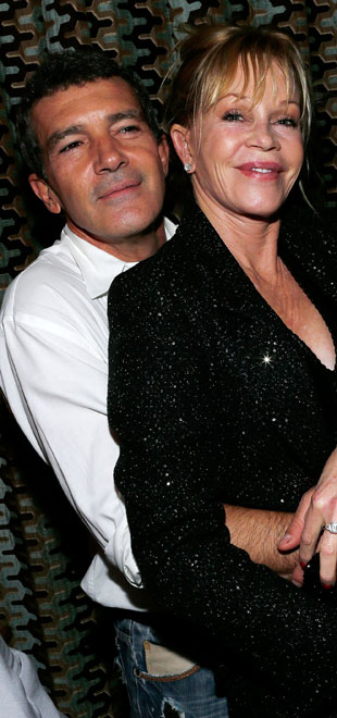 Melanie Griffith quer custódia dos três cães que tem com Antonio Banderas
