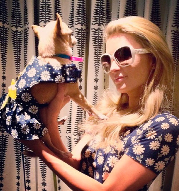 Paris Hilton e seu cachorrinho posam com roupas iguais