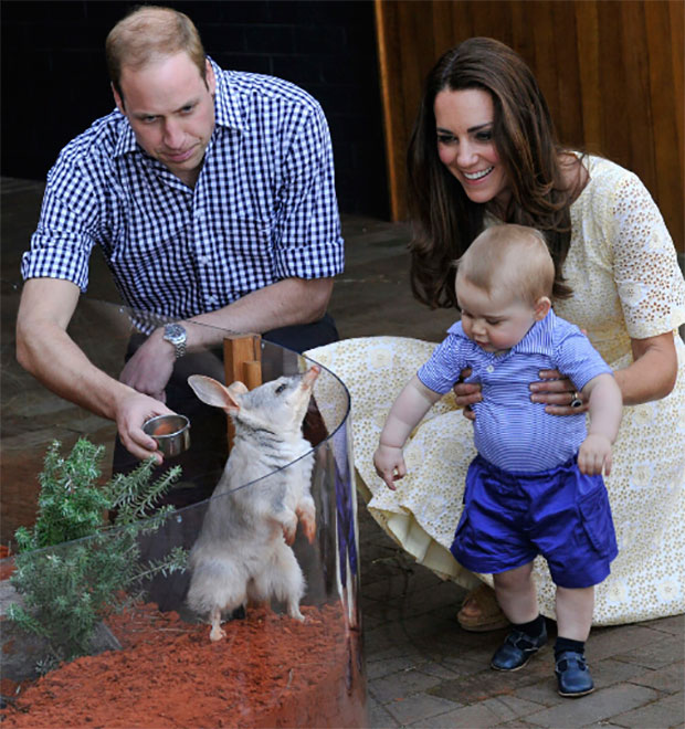Após visita de Príncipe George, zoológico recebe muito mais visitas