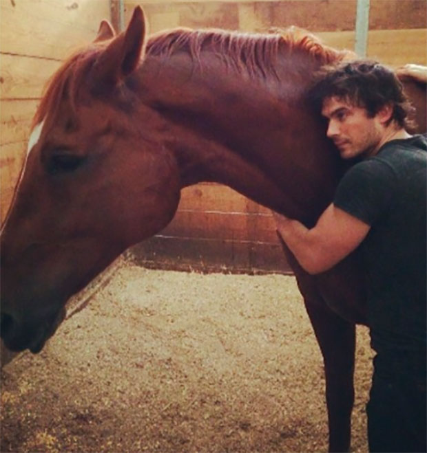 Ian Somerhalder e Nikki Reed adquirem cavalo de estimação. Saiba mais!