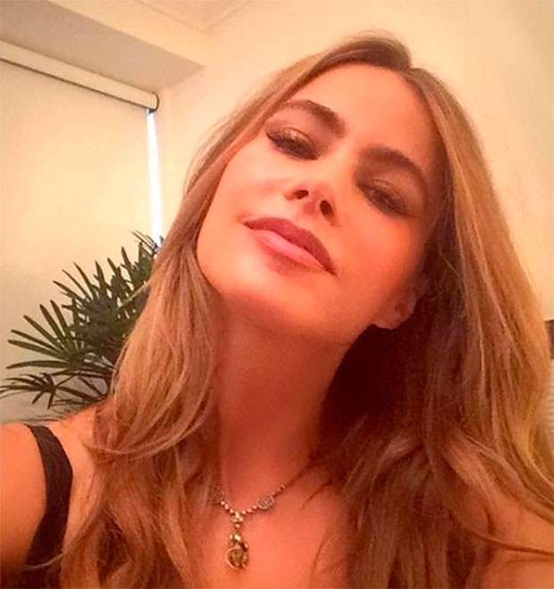 Sofia Vergara fala sobre intervenções cirúrgicas: -<i> Por que não?</i>