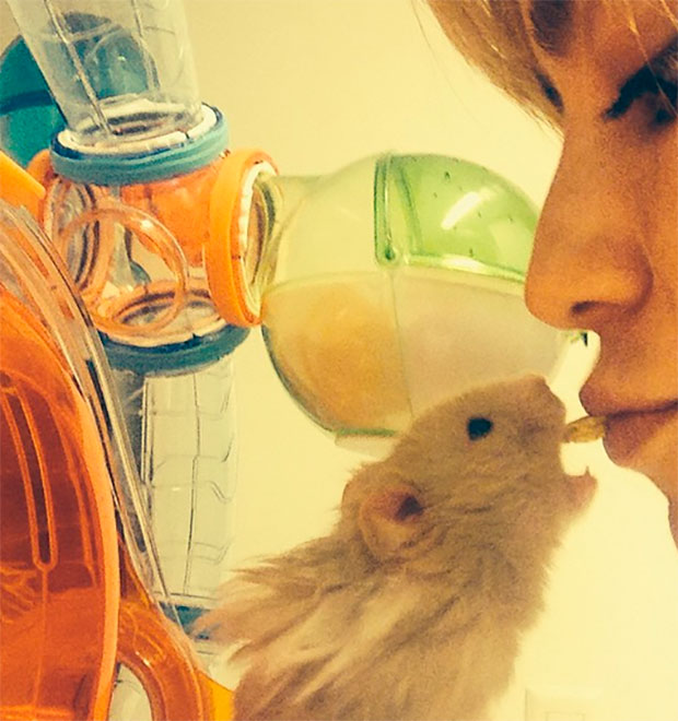 Fernanda Vasconcellos surpreende ao alimentar <i>pet</i> com a boca. Veja aqui!