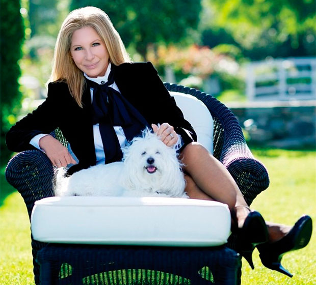 Barbra Streisand será entrevistada após 50 anos afastada da mídia 