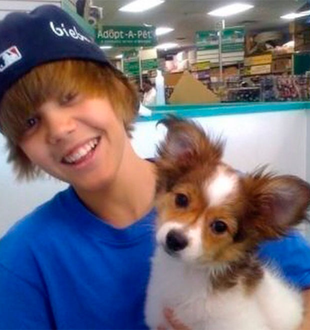 Justin Bieber lamenta morte de seu cãozinho, Sammy