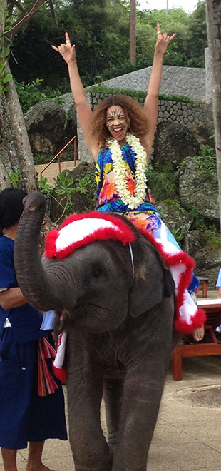 Beyoncé posa animada em cima de elefante na Tailândia. Veja!