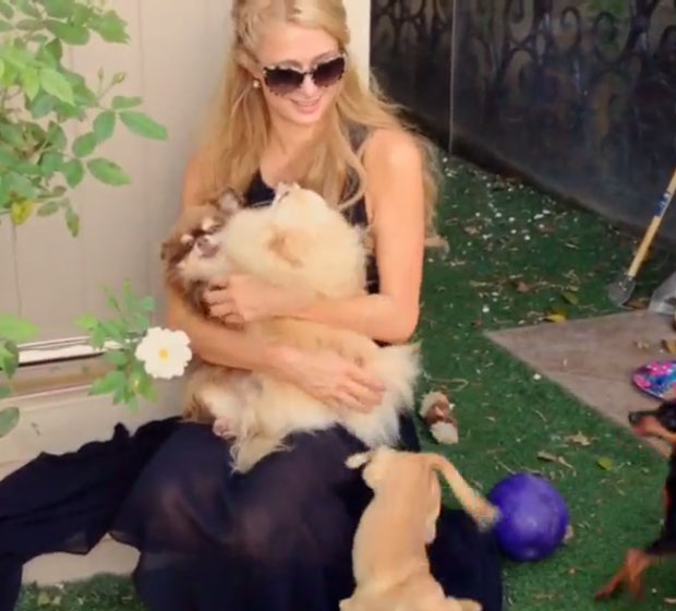 Paris Hilton