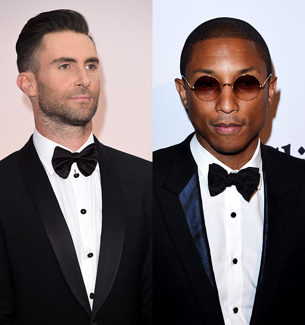 Clima esquenta entre Adam Levine e Pharrell Williams no <i>The Voice</i>