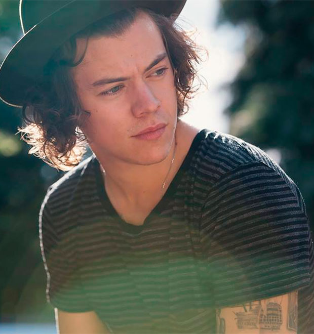 Harry Styles vai abandonar <i>One Direction</i>? Entenda!