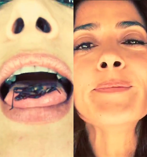 Salma Hayek aparece comendo grilo, confira!