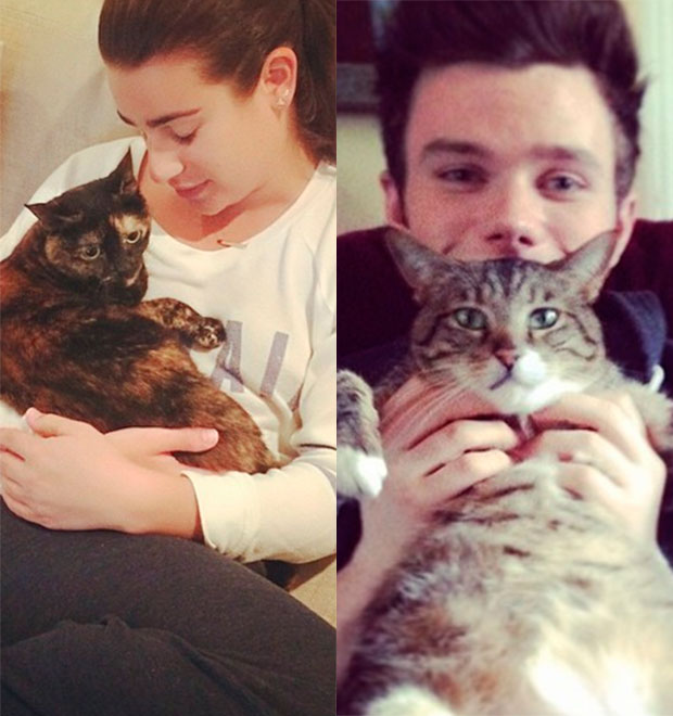 Gata de Lea Michele vai casar com o gato de Chris Colfer